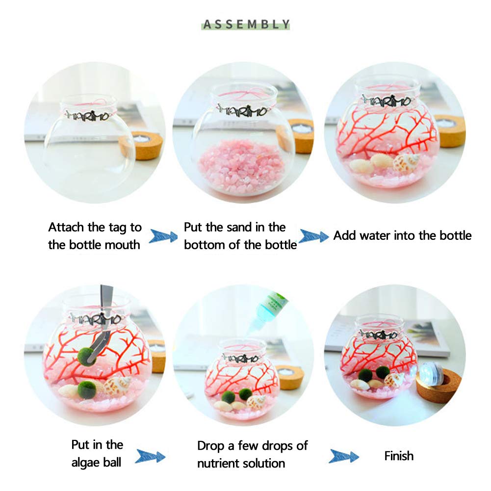 8-Quart Digital Air Fryer