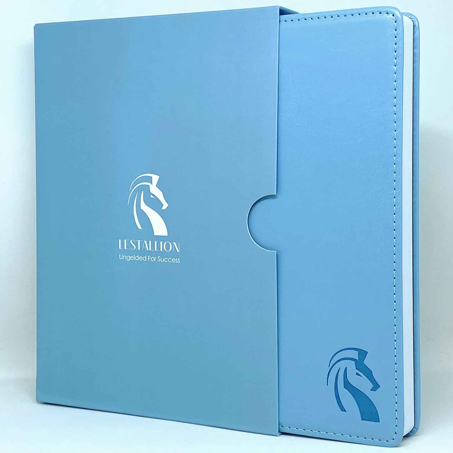 LeStallion Hardcover Light Blue Notebook - A5 Lined Journal For Writing - 100GSM Hardback Light Blue Journal For Women / Men for Business, Office, Work - 216 Perforated Lined Paper - Faux Leather