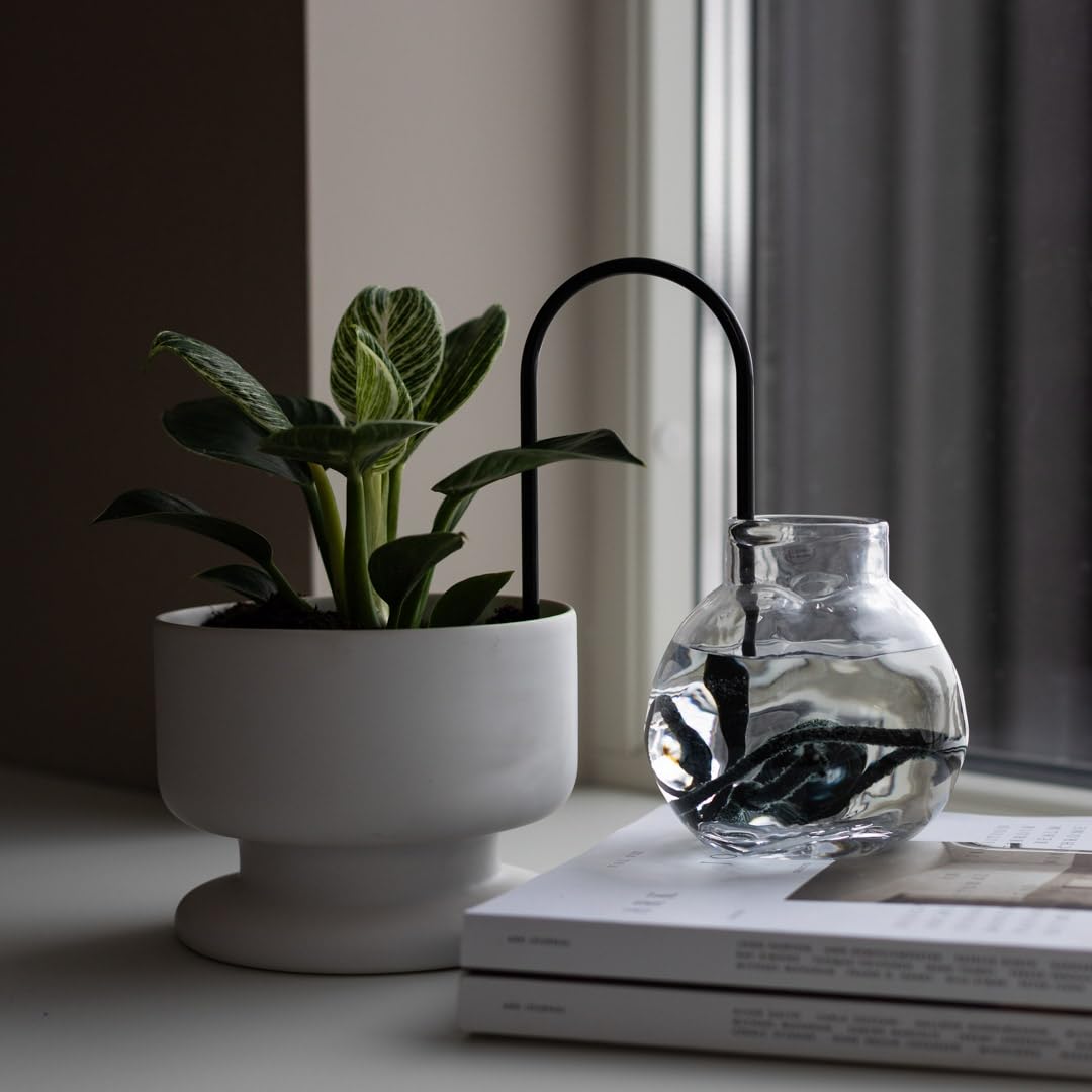 Bellissimo sistema di stoppino autoirrigante per la cura delle piante senza sforzo, irrigazione a goccia automatica, design scandinavo sostenibile ed elegante, ideale per piante da