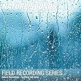 Nature Sounds & Nature Noise