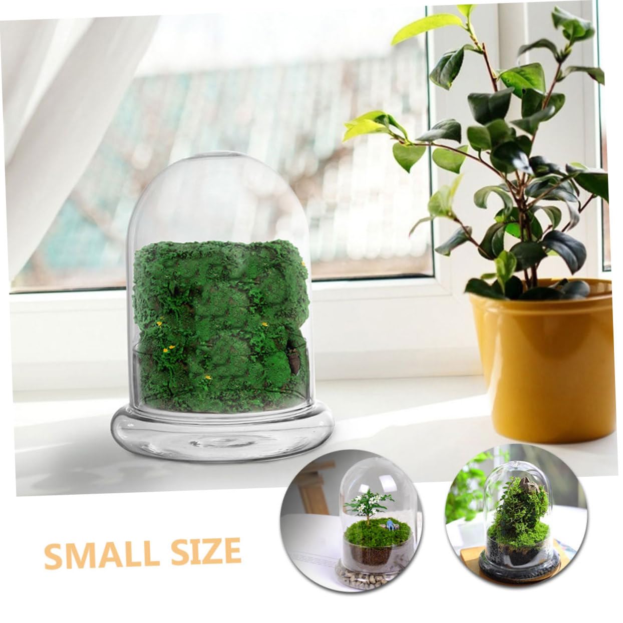 Terrario Micro Paesaggio DIY in Vetro, per Piante e Fiori