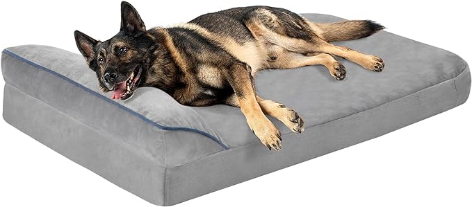 Orthopedic Dog Bed $69.95