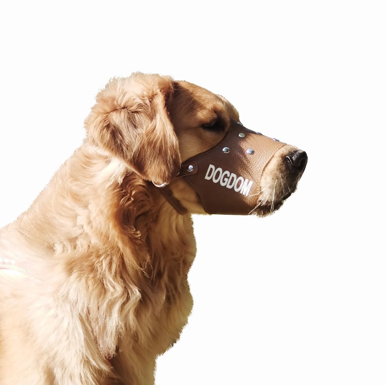 GENVIVIA Dog Muzzle Adjustable Soft Mesh Cat Muzzle Anti Biting Barking And Chewing Dog Muzzle Medium Sized Dogs Black Xxl