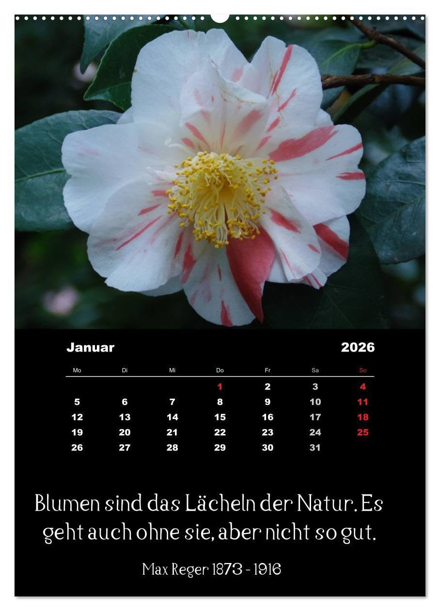 Sprüche und Zitate berühmter Personen über Blumen und Natur (hochwertiger Premium Wandkalender 2026 DIN A2 hoch), Kunstdruck in Hochglanz: ... Spruch unter jedem Bild (CALVENDO Natur)