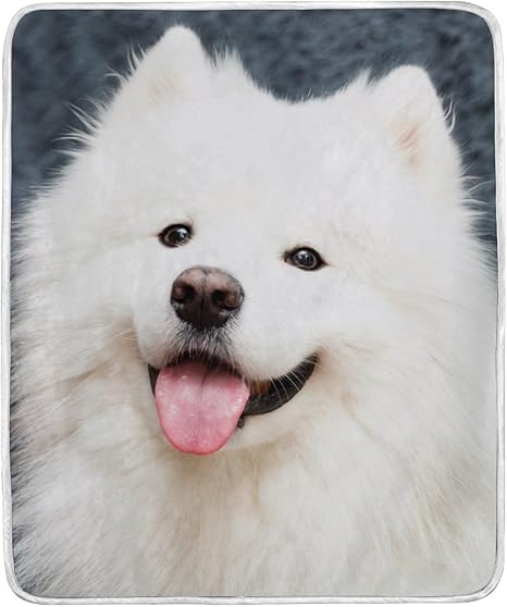 samoyed fur blanket