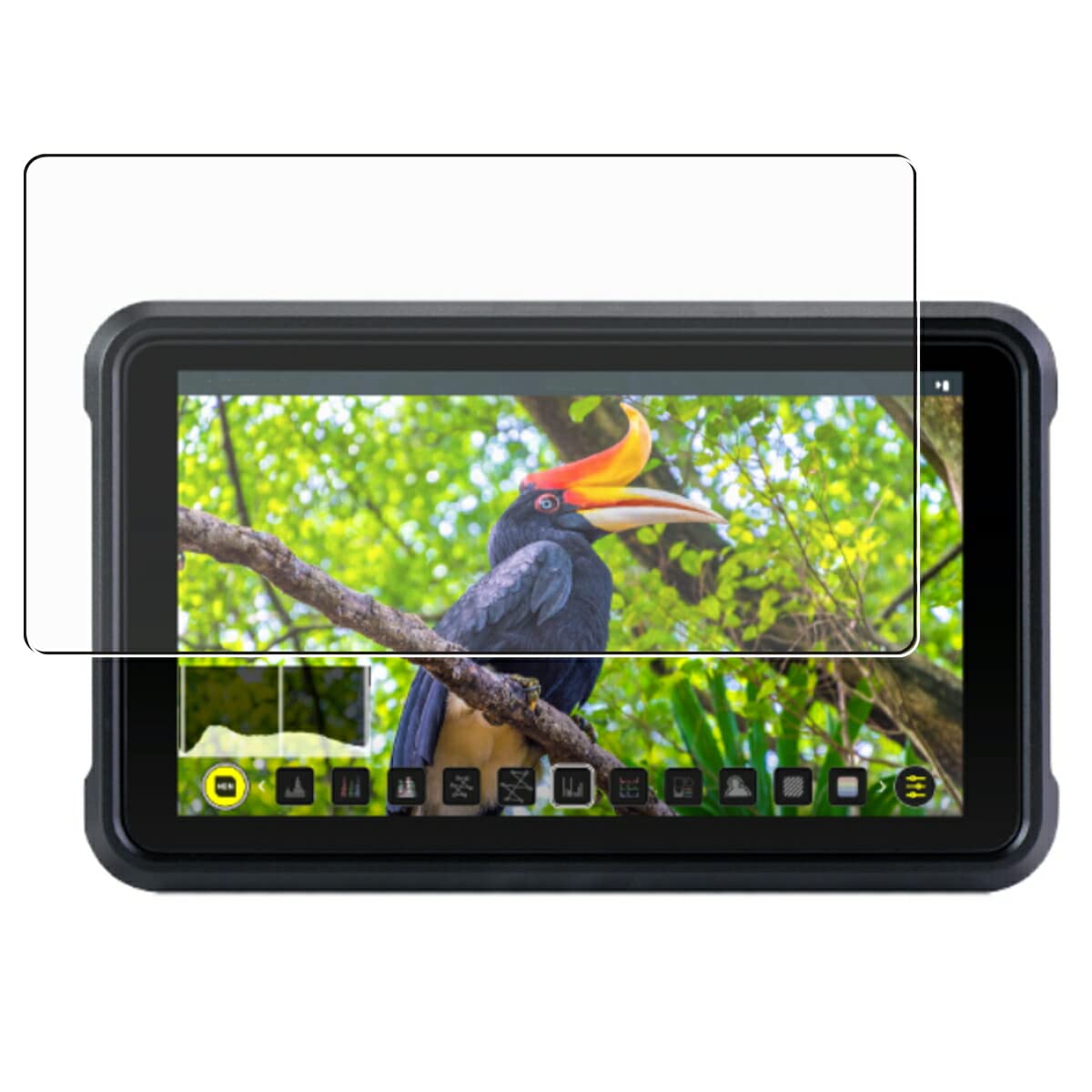 Amazon.co.jp: ClearView ATOMOS SHINOBI II/SHINOBI用 液晶保護