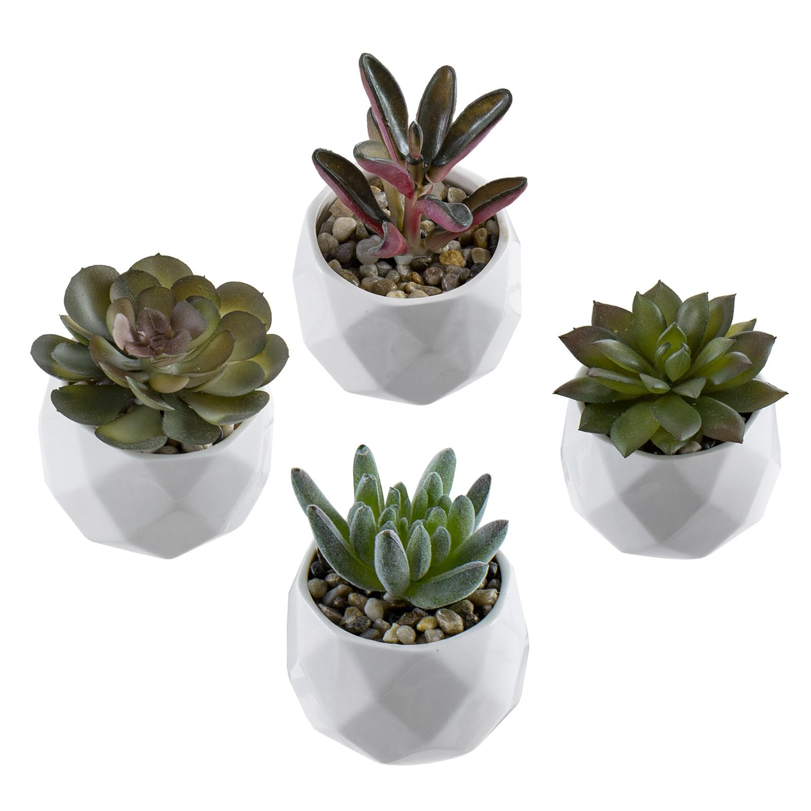 plant grow light bulbs Instant Sun Grow Bulb
