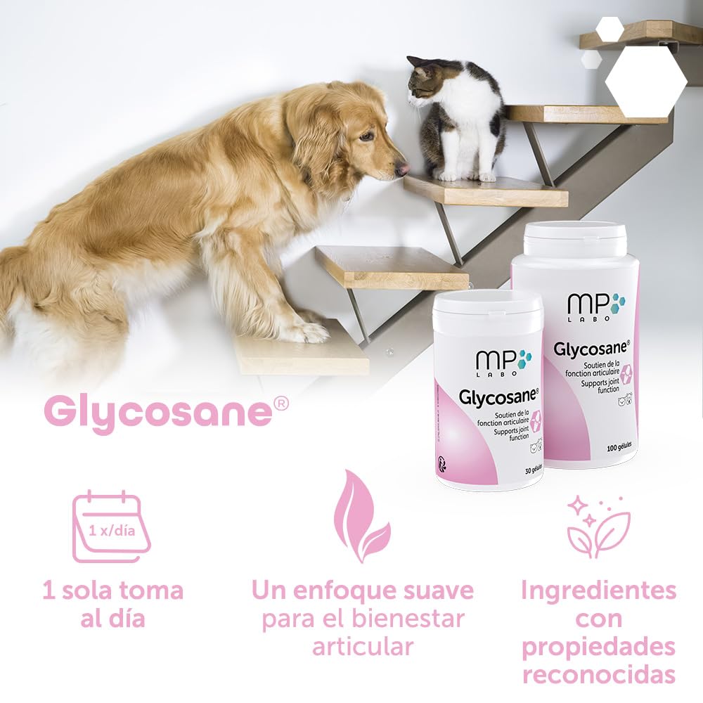MP Labo Glycosane® 100 cápsulas - Mantenimiento de la función Articular - Perro y Gato