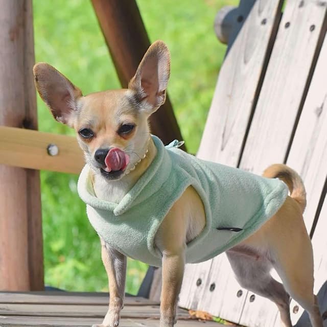 Foto 7 de 7 de JACKO & CO Suéter de forro polar para perro con anillo para correa, verde
