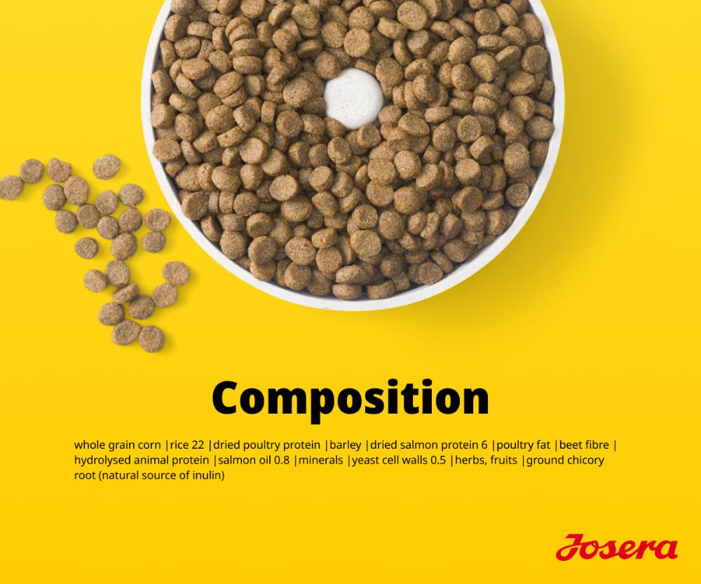 Josera Senior Salmon & Rice 12,5 kg Trockenfutter für Hunde