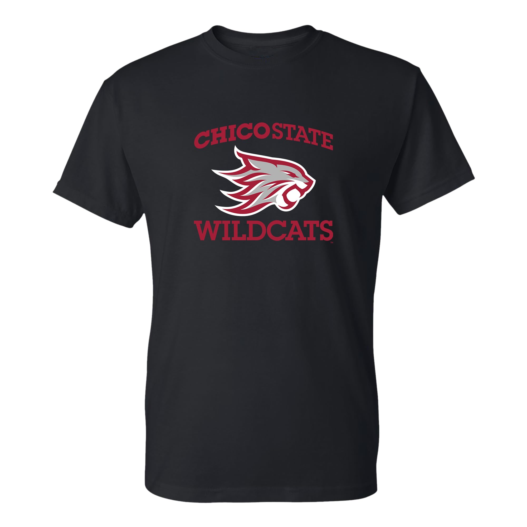 NCAA Arch Logo - NCAA Sports Team Color T Shirt — view 169