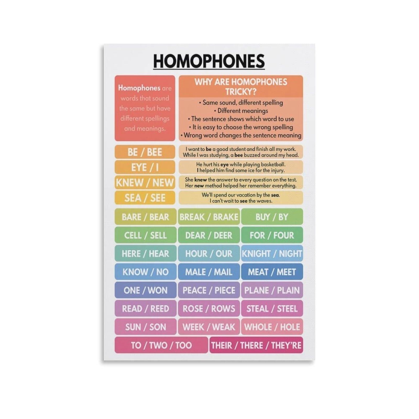 SSOPTMCB Home Study Decor Canvas Print - Homophones Educational Poster for English Language Learning(Framed,16x24inch(40x60cm))