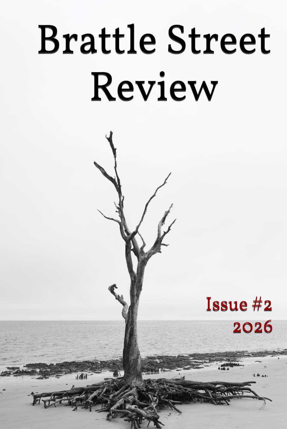 Brattle Street Review: Issue #2 2026
