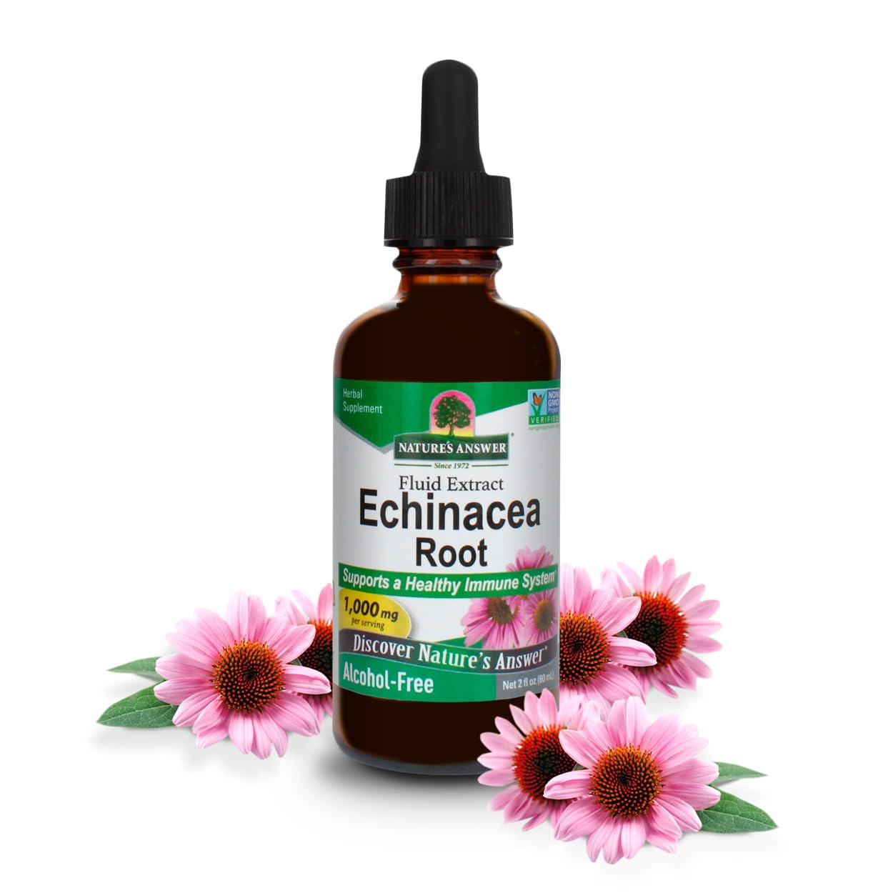 Nature's Answer Echinacea Extract | Supports a Healthy Immune System | Vegan, Gluten-Free, Alcohol-Free, Non-GMO & Kosher Certified | 2oz