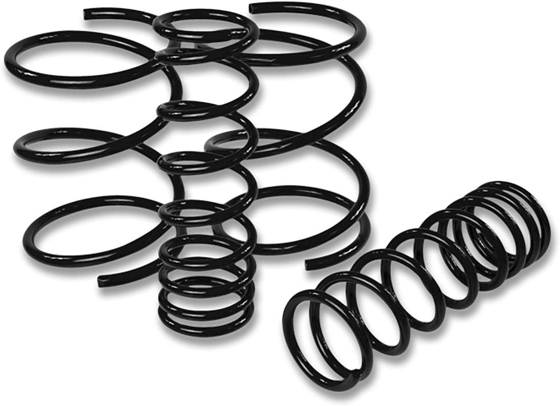 DNA Motoring LS-240SXS14-BK Suspension Lowering Springs