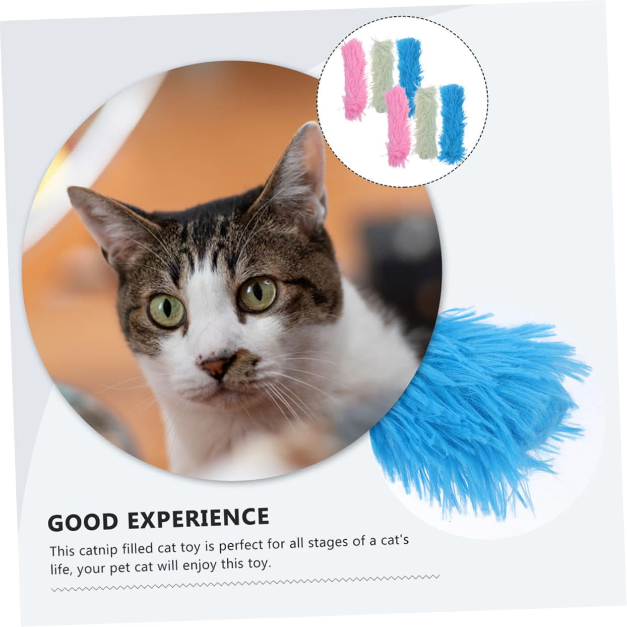 SUPVOX 18pièces Jouets Catnip pour Chats Oreiller Interactif Jouets Amusants pour Chats Intérieur