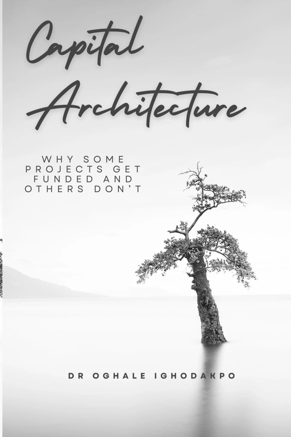 Capital Architecture Why Some Projects Get Funded and Others Don’t