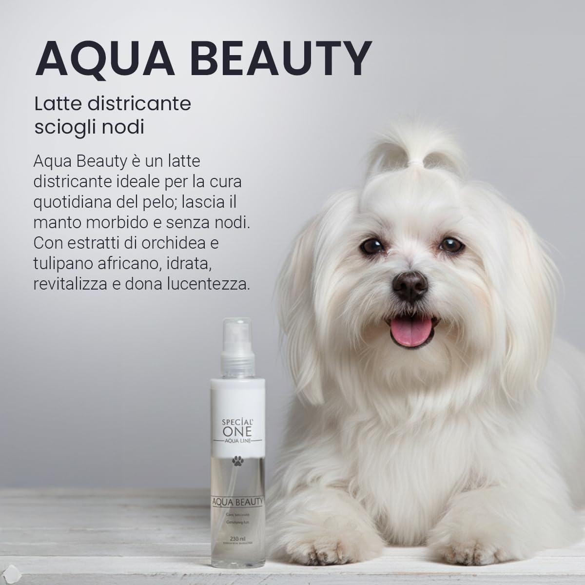 SPECIAL ONE - AQUA BEAUTY Latte Districante Sciogli Nodi Professionale con Estratti di Orchidea e Tulipano Africano - Protegge, Nutre e Rende il Pelo Morbido, Luminoso e Facile da Gestire - 250 ml