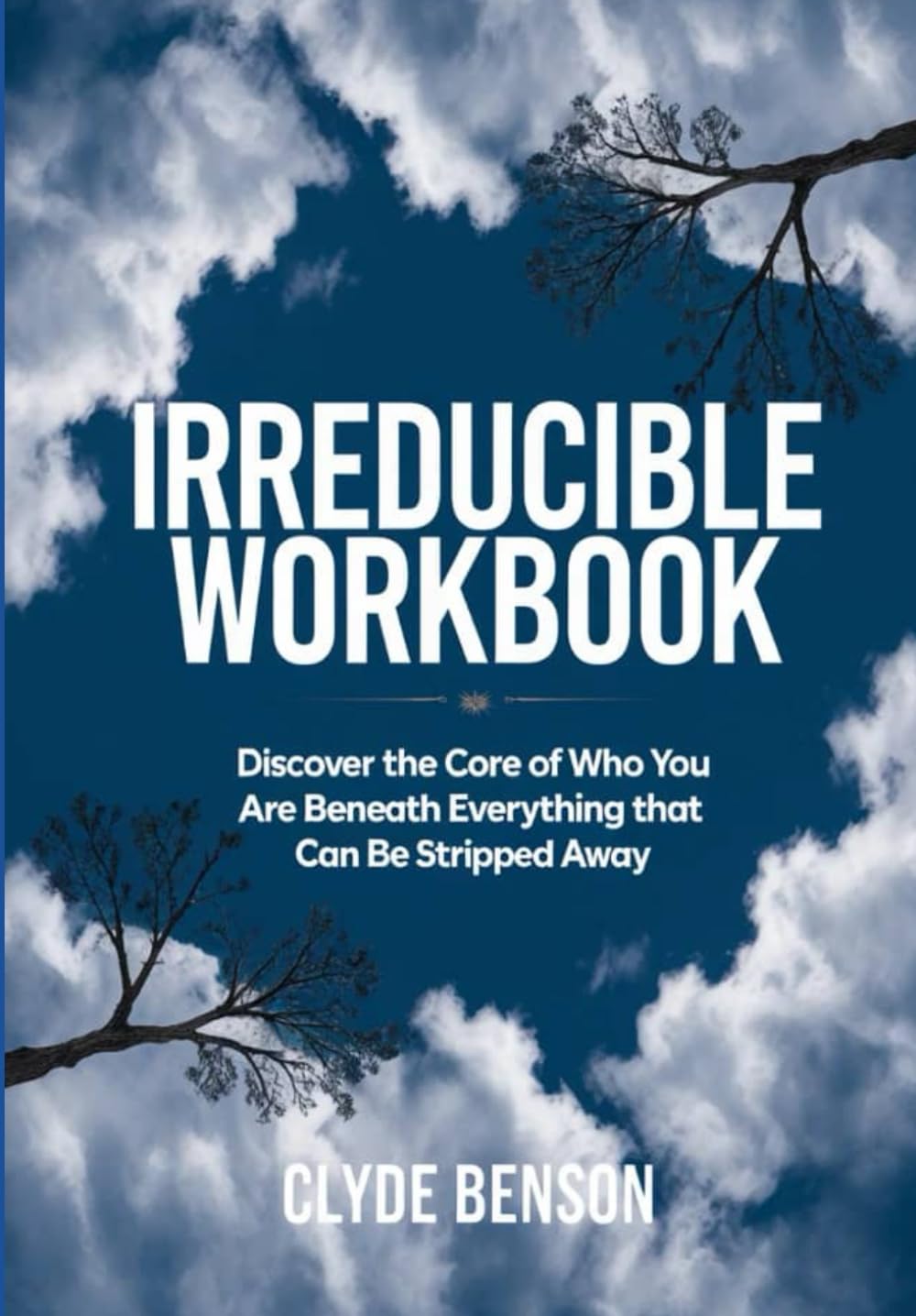 Irreducible Workbook: Discover the Core of Who You Are Beneath Everything that Can Be Stripped Away