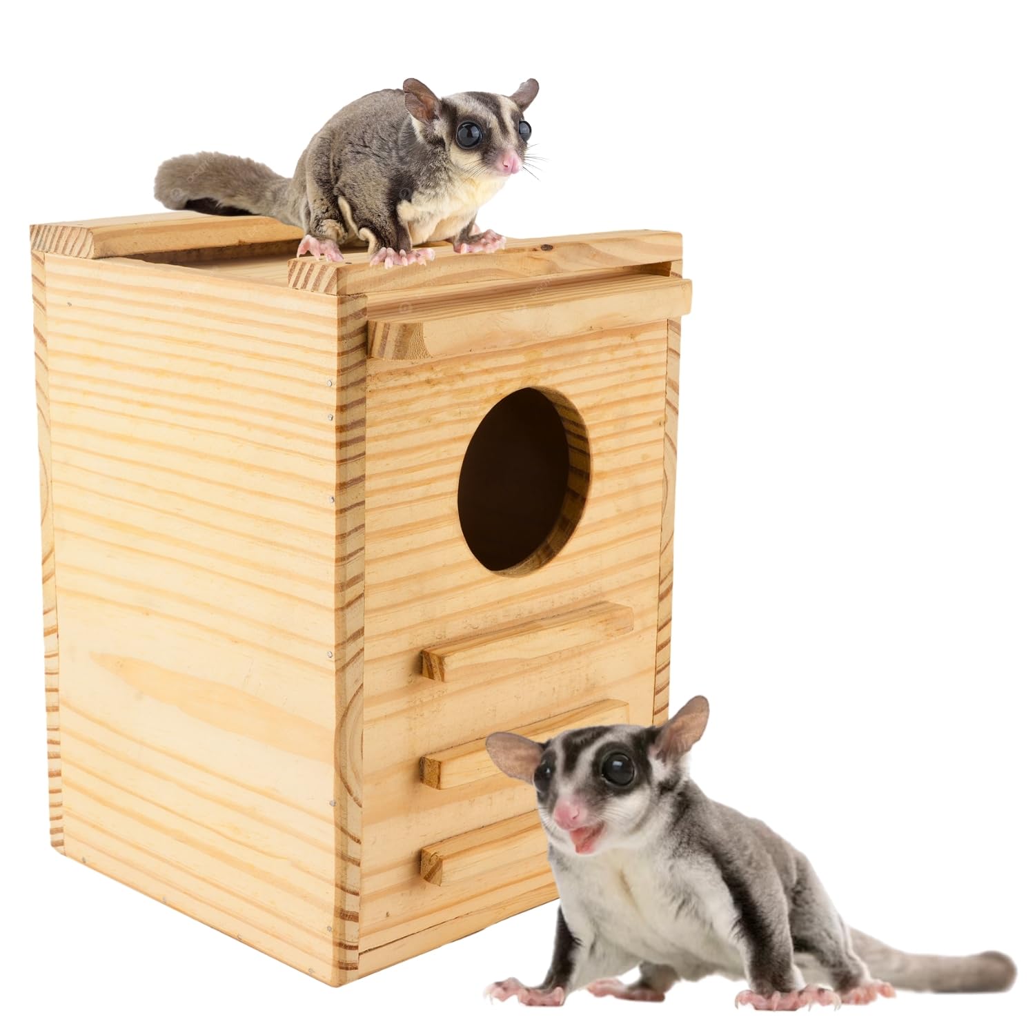 Western Era Wooden Sugar Gliders Hide House- Handcrafted, Eco-Friendly Natural Wood Habitat | Safe, Spacious, Cozy Shelter for Small Pets | Ideal for Nesting & Resting, Chew-Resistant & Easy to Clean