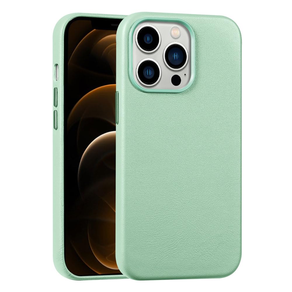 Housse en cuir iPhone 12 Mini compatible charge sans fil magnétique - 8