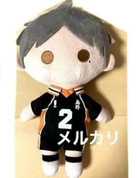 ハイキュー！菅原孝支ぬいぐるみペンポーチ 61Zda7hvG2L._UF350,350_QL50_.jpg