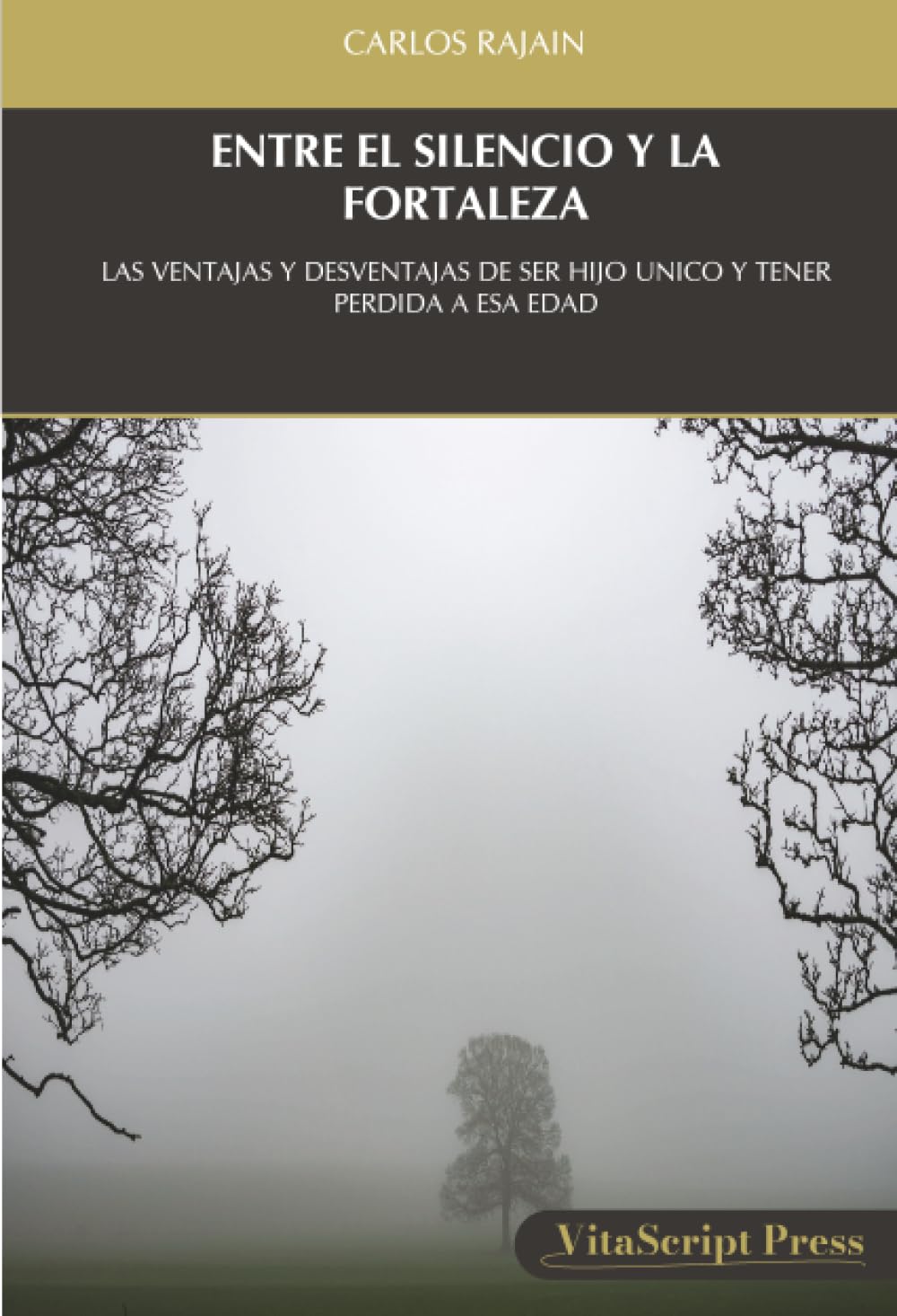ENTRE EL SILENCIO Y LA FORTALEZA: LAS VENTAJAS Y DESVENTAJAS DE SER HIJO UNICO Y TENER PERDIDA A ESA EDAD