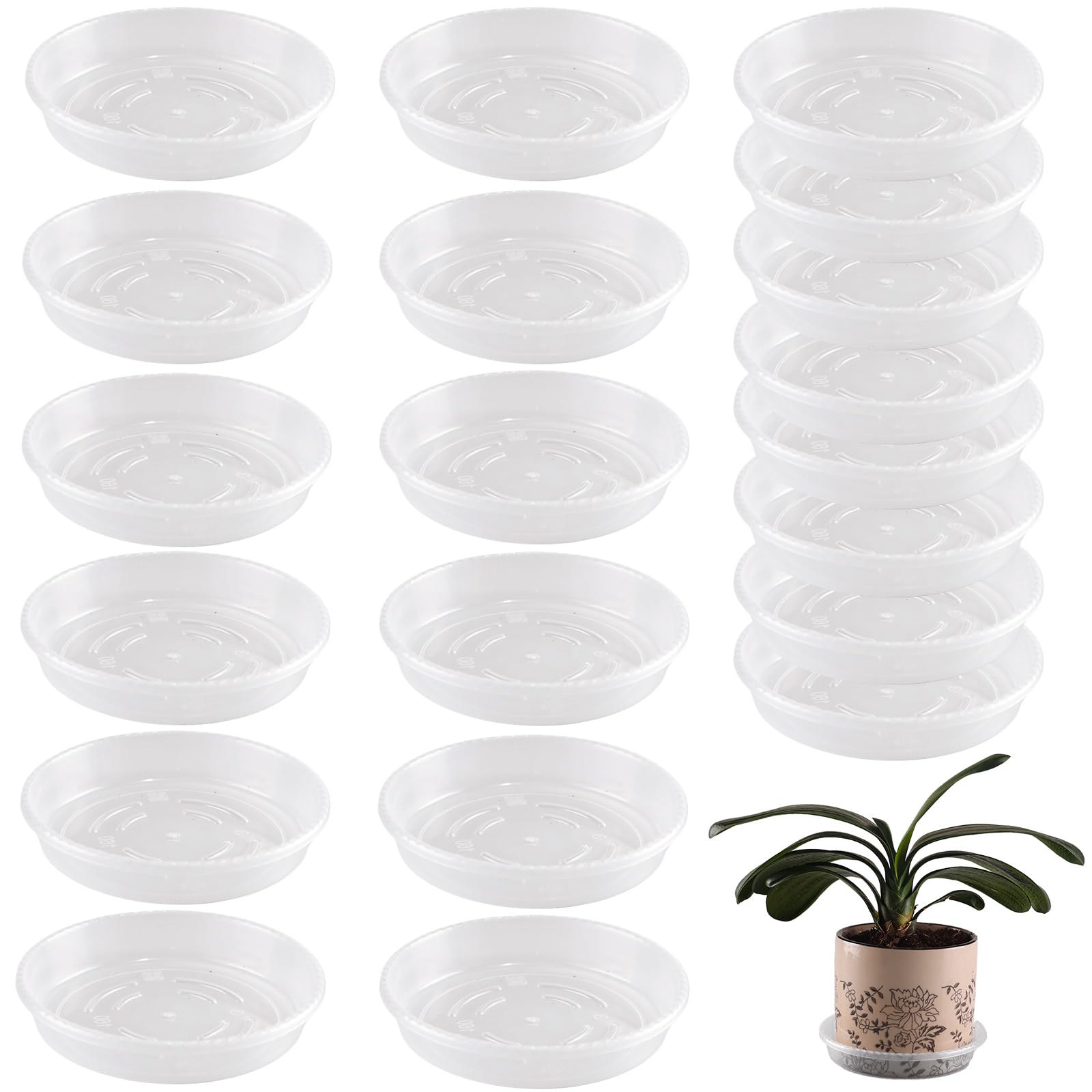Plant Saucers - 20 Pack Drip Trays -8