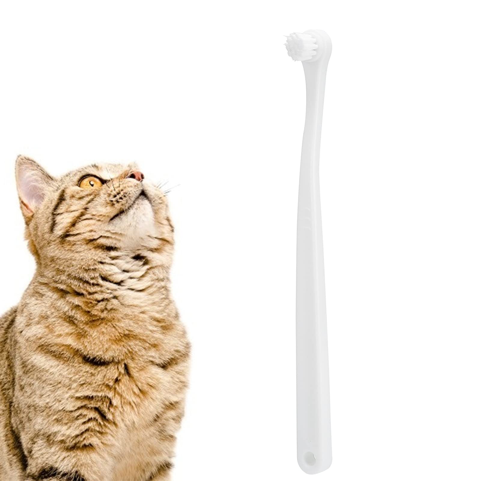 5 Pi¨¨ces Brosse ? Dents Animaux Compagnie,Brosse ? Dents Douce Confortable ? Long Manche,Brosse ? Dents ? T¨ºte Souple Chat 0,09 Mm,Brosse de Nettoyage Des Dents Chat Petits