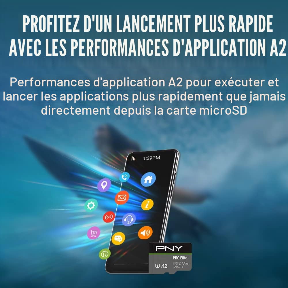 PNY 256GB Pro Elite C10 U3 V30 A2 microSDXC Carte Mémoire Flash