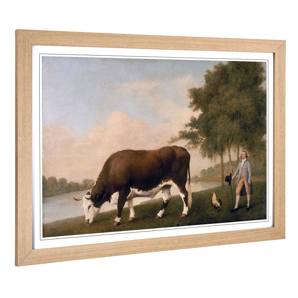 Big Box Art Framed Print of George Stubbs The Lincolnshire Ox Design | Wall Art Picture | Home Decor for Kitchen, Living Room, Bedroom, Hallway, Oak, A2 / 24.5x18 Inch / 62x45cm