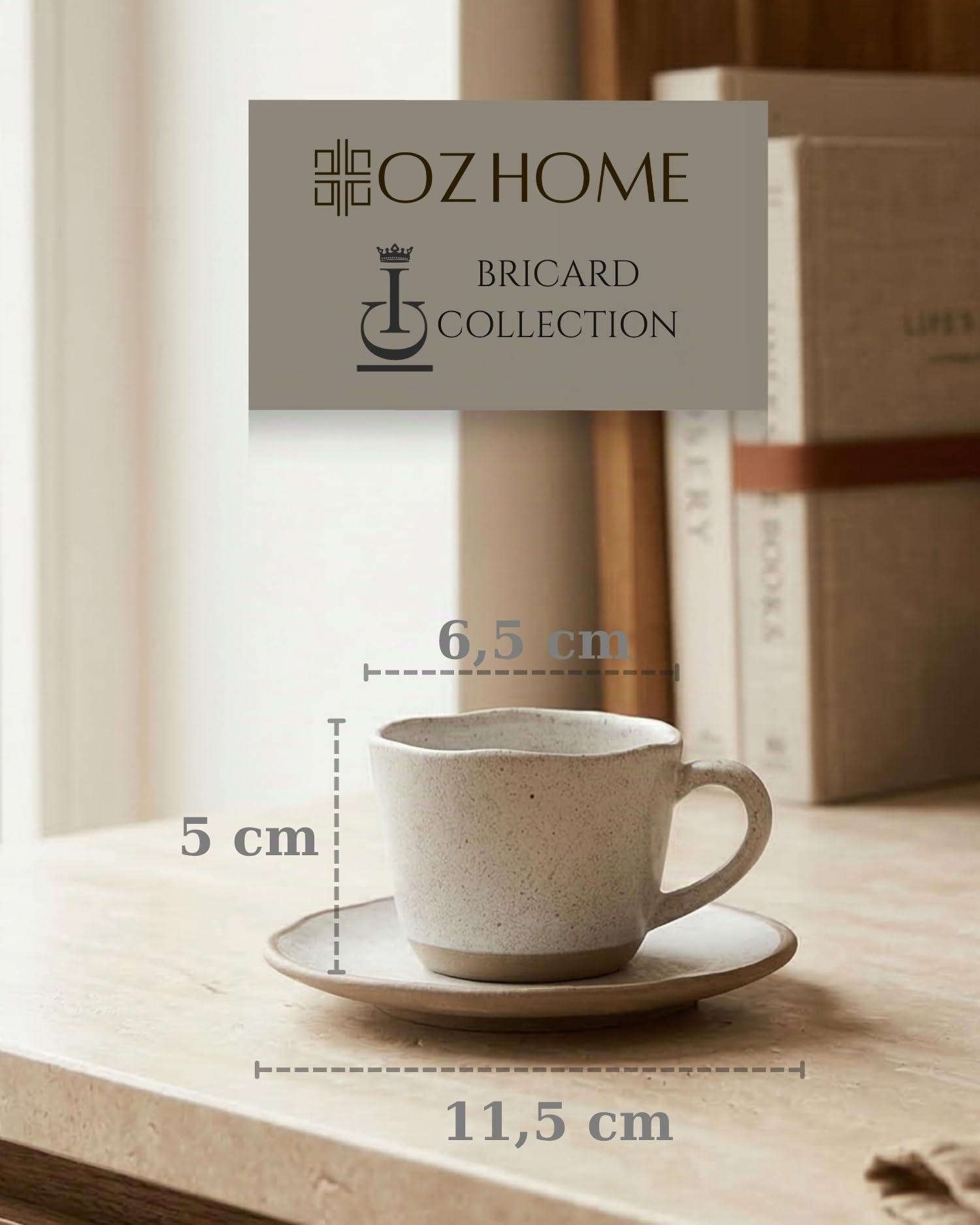 Set Tazzine da Caffè 12 Pezzi con Piattini, Servizio Espresso per 6 Persone | BRICARD Albi | 100 ml Ceramica Grigio Chiaro, Tazzine Moka e Caffè Turco, Lavastoviglie e Microonde, Idea Regalo