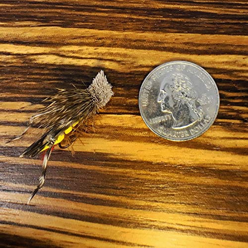 Dave's Hopper Dry Fly Fishing Set - 6 Pcs, Hook Size #10 - Topwater Terrestrial Grasshopper Flies For Bass, Panfish, Trout By Thor Outdoor #TOP3