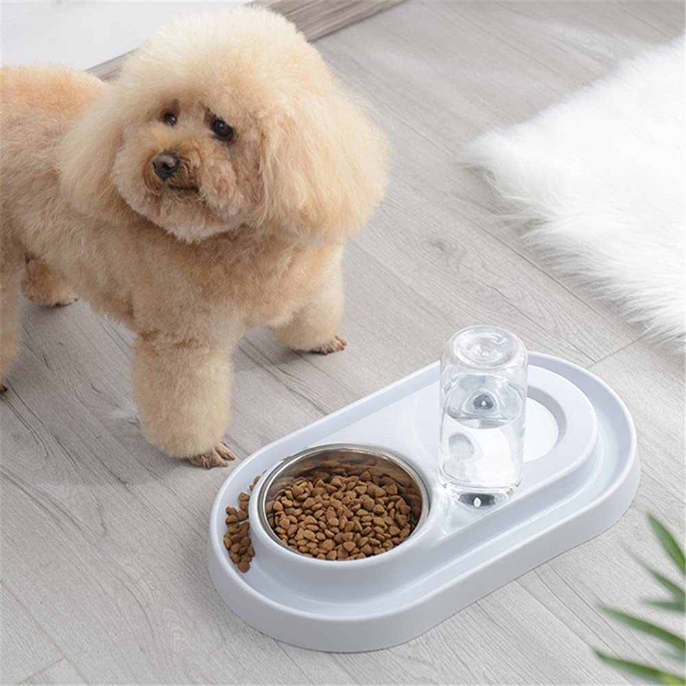 fuente para gatos, bebedero gatos Automático de agua for mascotas Bott Cats Alimentador de alimentación de alimentos for perros Alimentador de alimentos Tazón for perros No se pondrá el pelo de la boc