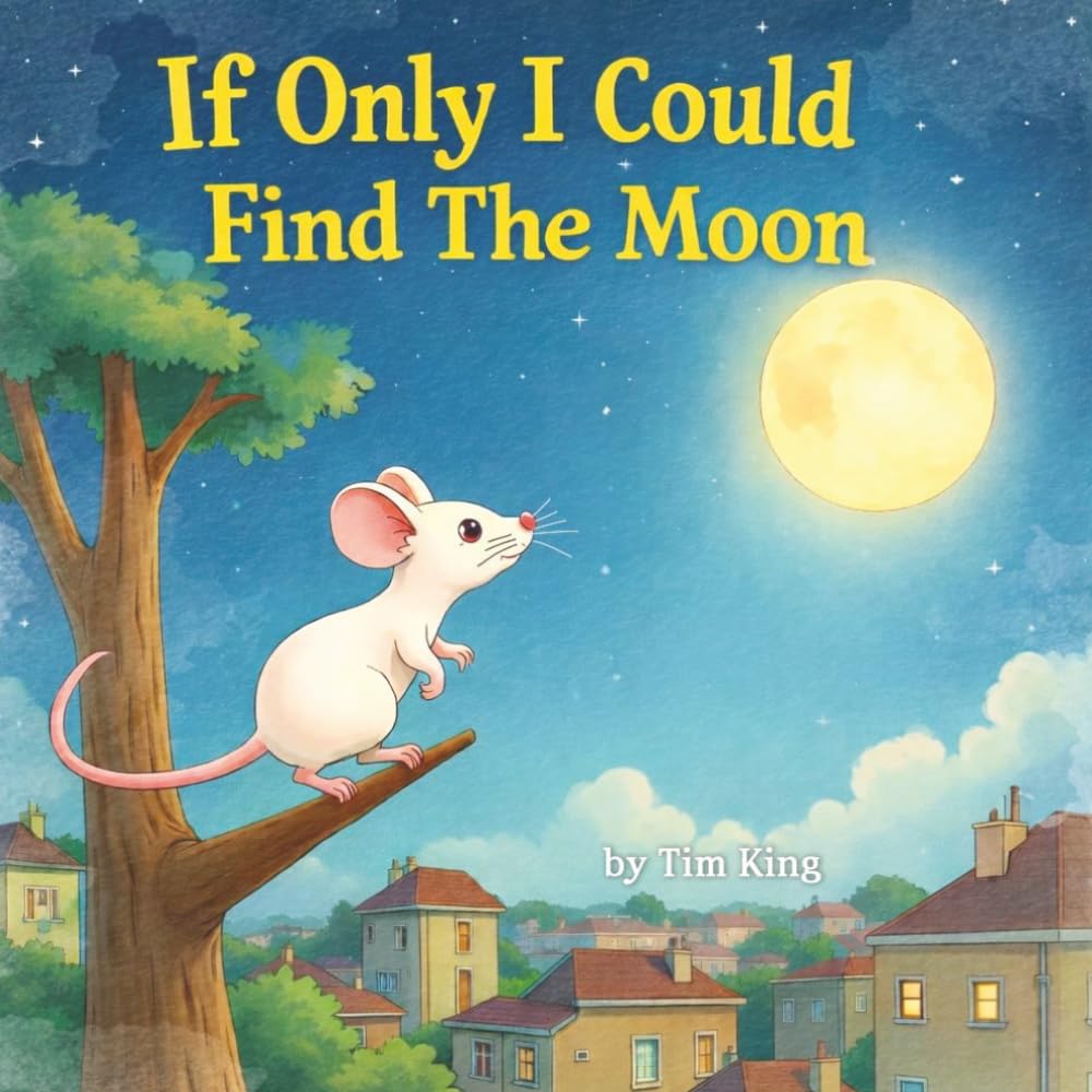 If Only I Could Find The Moon