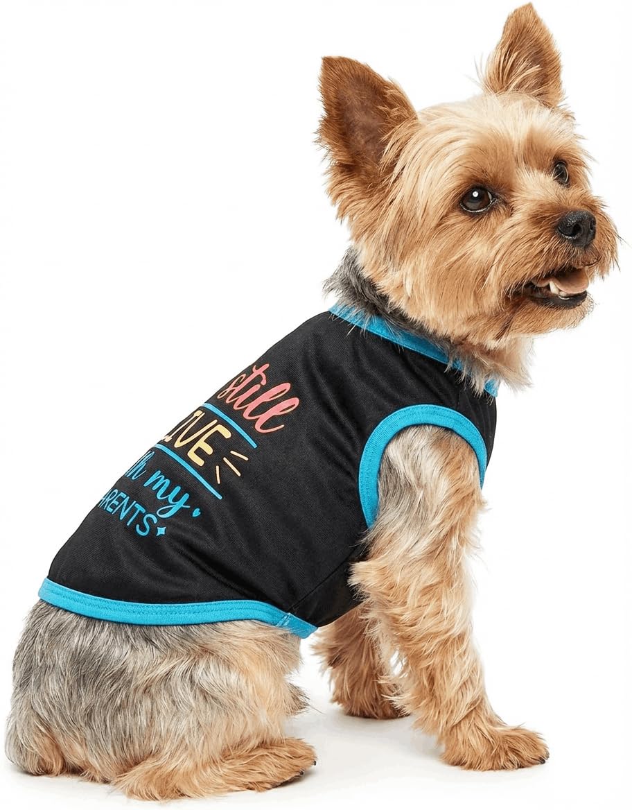 Quick Dry Dog T Shirt, Breathable Lightweight Pet Dogs Sun Protection Shirts, Puppy Clothes for Swimming Beach Outdoor Activities