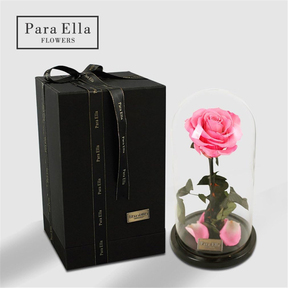 Beauty And The Beast Rose, Live Forever Rose in Glass, Live Enchanted Rose, Preserved Rose %100 Natural