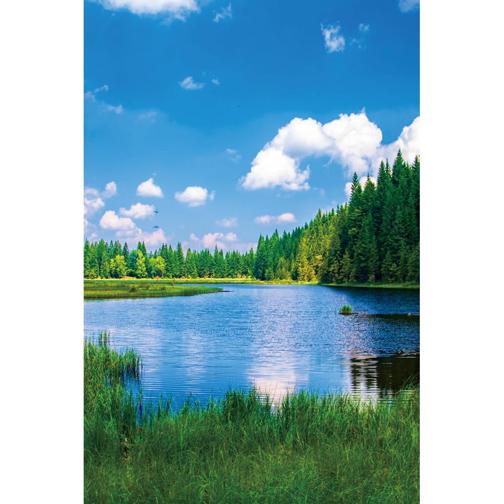 DASHAN 8x10ft Nature Scenery Photo Backdrop Blue Sky and White Clouds Photography Backdrop Lake Forest Photo Background Landscape Backdrop Photo Prop