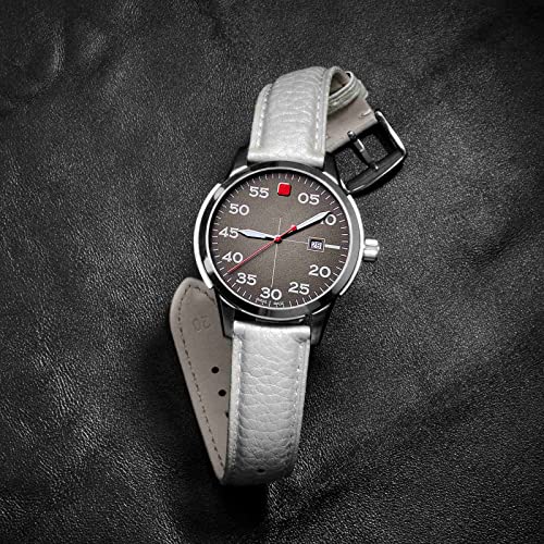 Image of ANNEFIT Watch Band 22mm, Quick Release Textured Padded Leather Straps with Black Buckle for Men and Women (Silver)