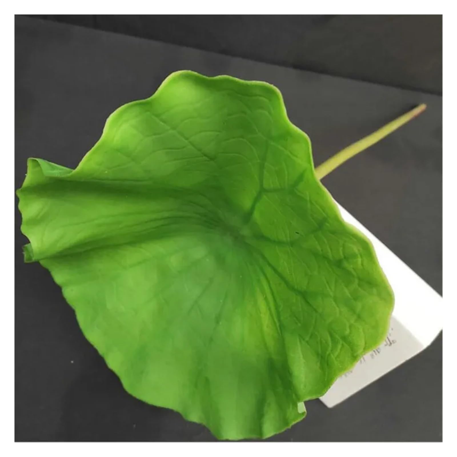 Artificial Lotus Flower, 4PC Artificial Stem Lotus Flower Bud Leaf Fruit(Lotus Leaf)