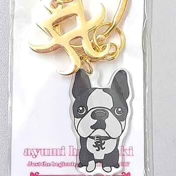 激レア　浜崎あゆみ　愛犬　パピコ　ぬいぐるみティッシュカバー　2個セット Amazon.co.jp: 浜崎あゆみ ayupan 犬 ぬいぐるみ2体セット