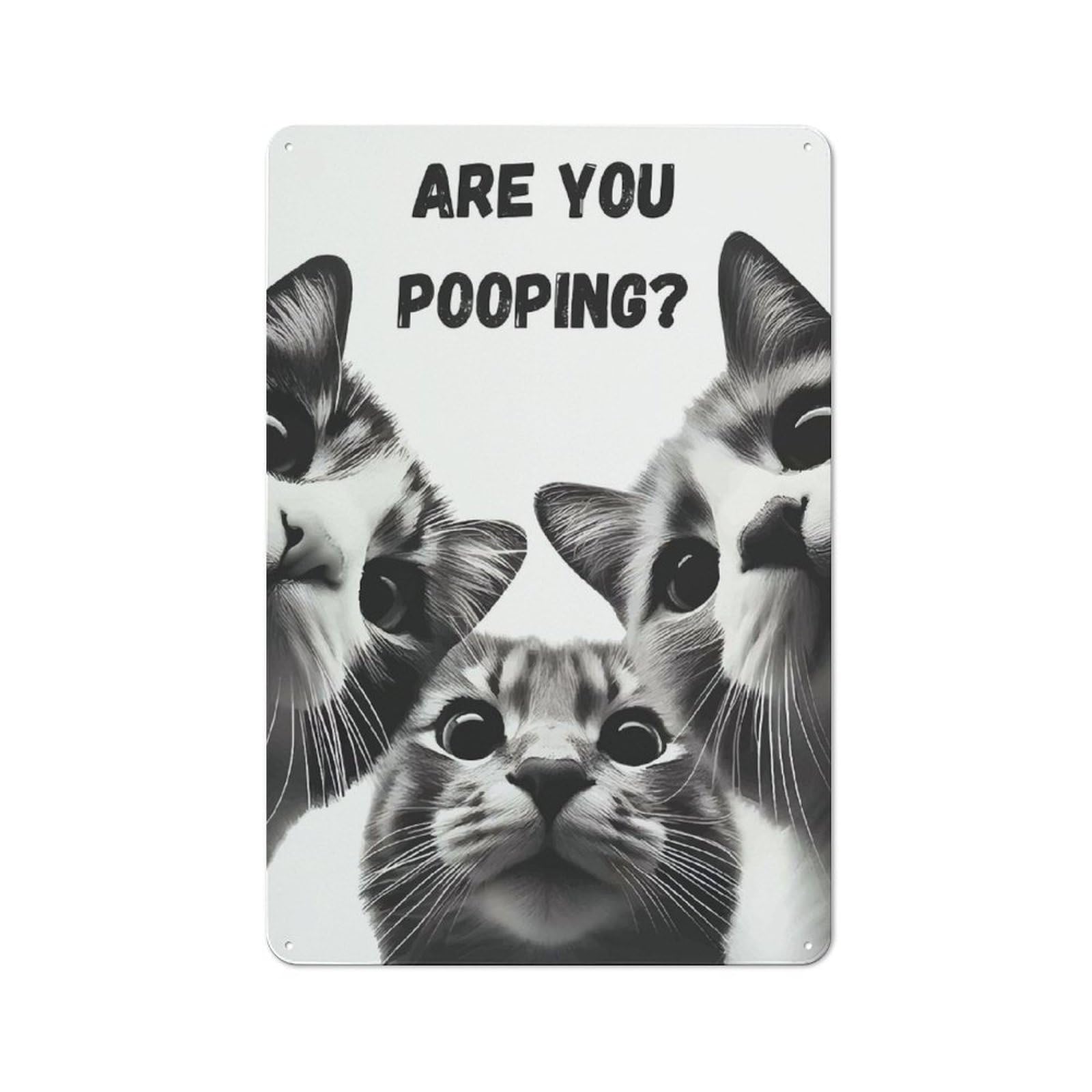 Tin Wall Plaque 30x20cm with Are You Pooping Cats for Hallway Wall, Suited to Wall Displays in Hallways And Entrance Areas