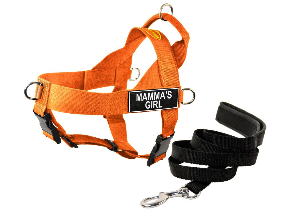 Harnais de promenade chien Dean & Tyler pour sorties urbaines avec laisse chiot