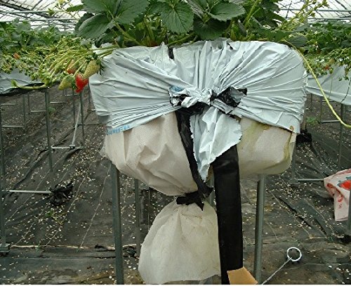 Amazon | ルートラップシート 白 幅100cm×100m 水耕栽培・養液栽培用