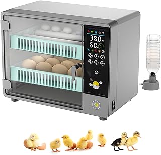 Couveuse Oeuf Automatique,Incubateur Oeuf Automatique 24 œufs avec retournement automatique des œufs et surveillance de l'humidité,5 modes d'incubation,convient aux œufs de poule,canard, caille (gris)