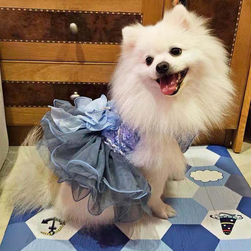 Amazon.com : ANIAC Blue Cat Wedding Dress with Bow Knot Dog Wedding Outfit  Formal Puppy Clothes for Girl Small Dog Luxury Pet Party Dress for Kitten  Chihuahua Yorkie Pomeranian (Blue-2, Small) :