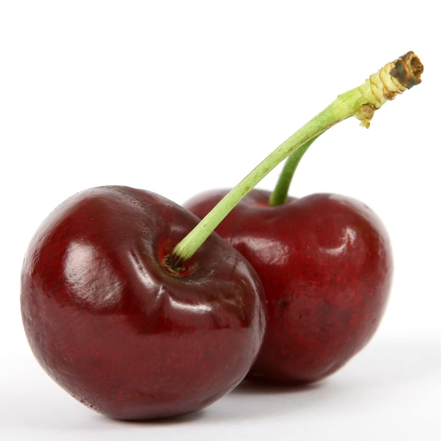 Prunus Avium Wild Cherry Tree 10 Seeds Attractive Native Tree with Beautiful Clouds of Blossom in Spring