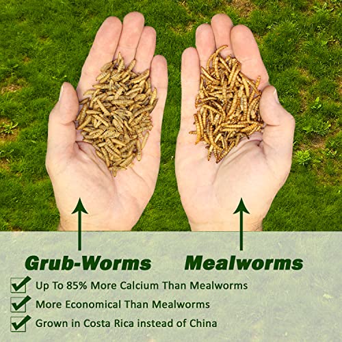 Exotic Nutrition 5 LB Grub-Worms Chicken Feed | Grown in Americas | Better Than Mealworms | Dried Black Soldier Fly Larvae BSF - Thumbnail 2