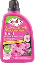 Doff Azalea Camellia Rhododendron Ericaceous Feed Food Fertiliser 1L