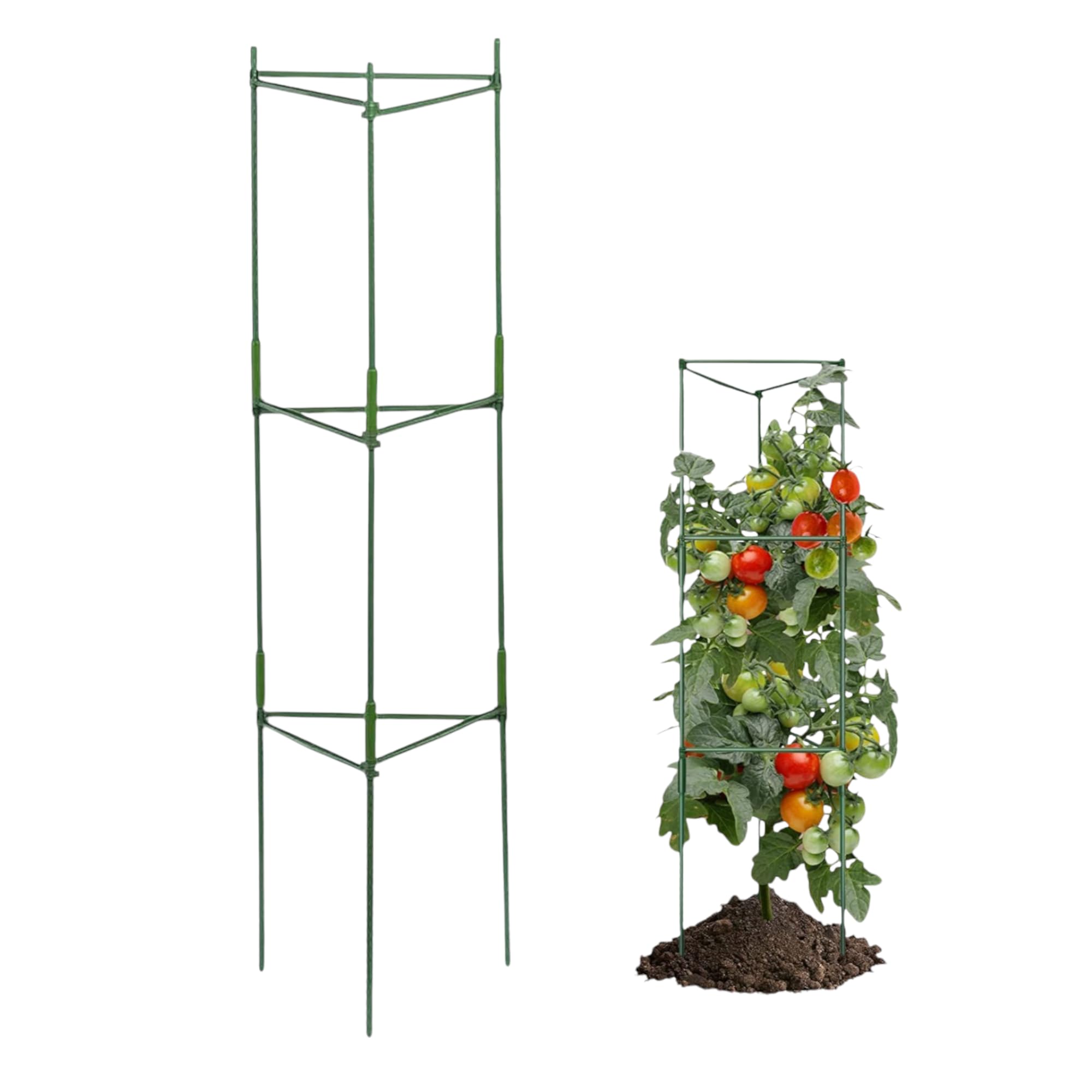 See full amazon price history chart for Garden Art Pack of 1Tomato Cage 150cm Tall | Plant Support, Cages, Stakes, Trelli for Climbing Plants,Creepers, Flowers, Fruits, Vine | GATS-5 Garden Art Pack of 1Tomato Cage 150cm Tall | Plant Support, Cages, Stakes, Trelli for Climbing Plants,Creepers, Flowers, Fruits, Vine | GATS-5 (B09MHLP3Q2) Amazon Price History, Amazon Price Tracker